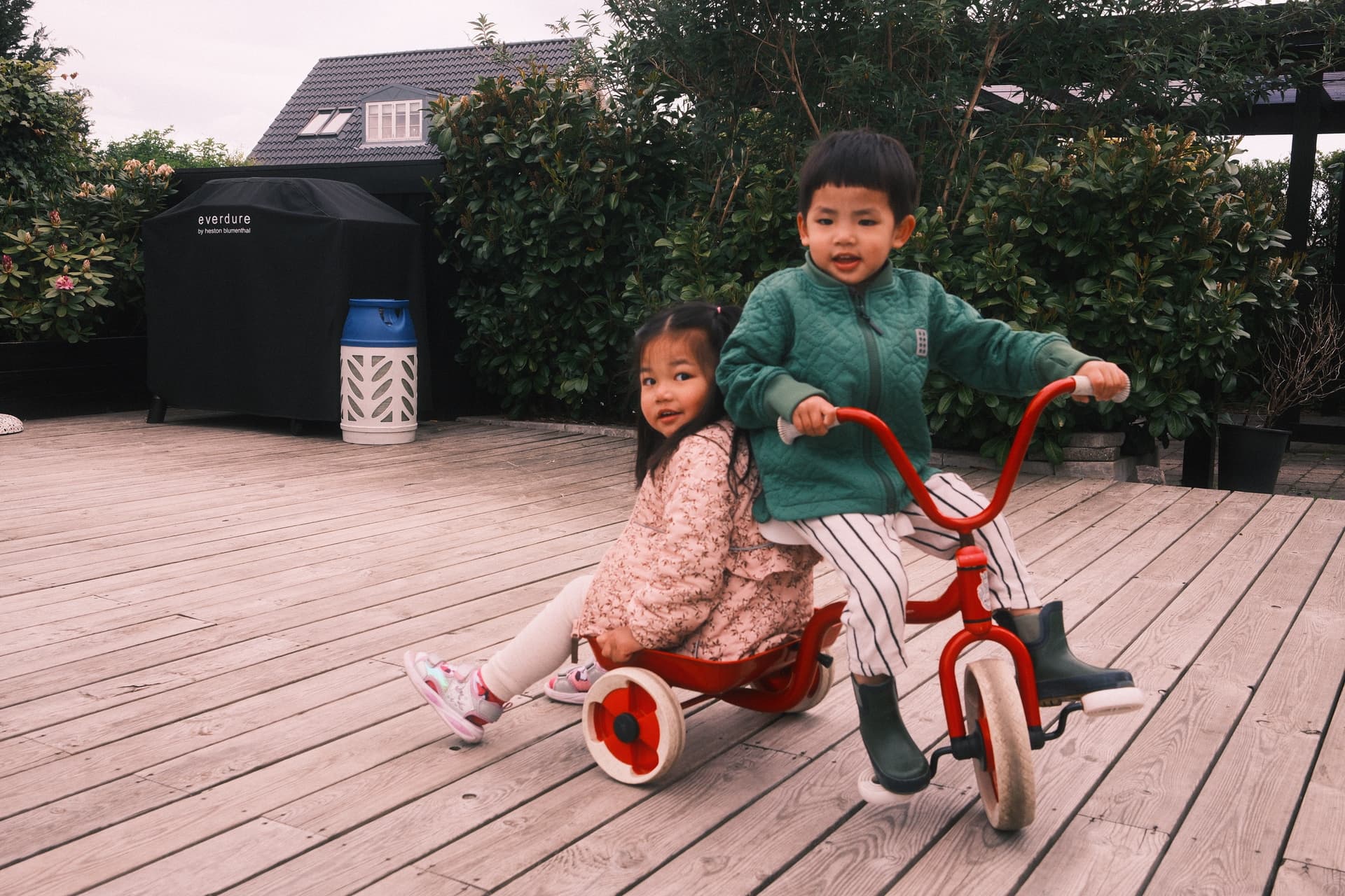 Two children playing on tricycle