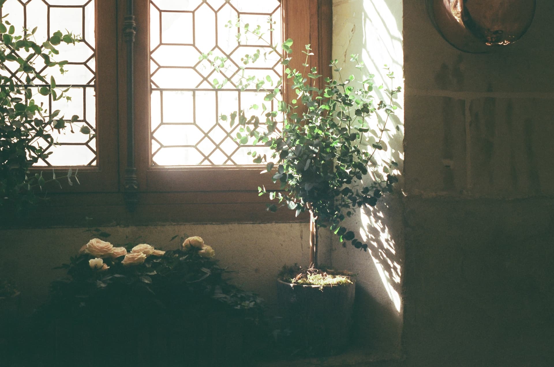 Poetry portfolio preview